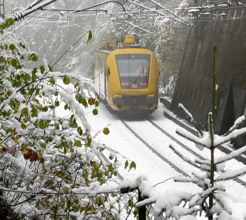081030h7-tvt-im-oktoberschnee.jpg